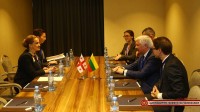 თავდაცვის მინისტრის პირველი მოადგილე ლიტველ კოლეგას შეხვდა 