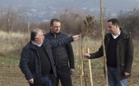 „ერთიანი აგროპროექტის“ ფარგლებში ქვემო ქართლში კიდევ ერთი ახალი ხეხილის ბაღი გაშენდა