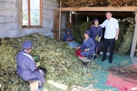 სამეგრელოს რეგიონში მცირე მეწარმეობის დასაწყებად გრანტი 70 დევნილს გადაეცა