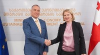 ნათია თურნავა ისრაელის სახელმწიფოს ელჩს რან გიდორს შეხვდა