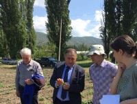 სამეცნიერო-კვლევითი ცენტრის თანამშრომლებს “ტრენერთა ტრენინგი“ ჩაუტარდათ