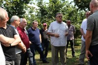გიორგი ხანიშვილი: გვაქვს მოლოდინი, რომ ფერმერები წელსაც მაღალი ხარისხის, შარშანდელზე უკეთეს თხილის მოსავალს მიიღებენ