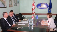 ვახტანგ ყოლბაია ევროპის საბჭოს პოლიტიკულ საქმეთა დირექტორატის სამმართველოს უფროს შეხვდა