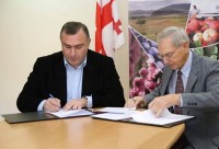 სასოფლო-სამეურნეო კოოპერატივების განვითარების სააგენტოსა და აშშ-ს საერთაშორისო განვითარების სააგენტოს სოფლის მეურნეობის პროგრამას შორის მემორანდუმი გაფორმდა