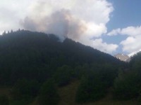 მესტიაში ხანძარი ლოკალიზებულია