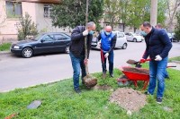 საკრებულოს დეპუტატმა ლევან დავითაშვილმა გამწვანების აქციაში მიიღო მონაწილეობა