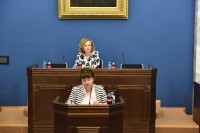 ევროპასთან ინტეგრაციის კომიტეტმა „საავტომობილო გზების შესახებ“ საქართველოს კანონში ცვლილების შეტანის თაობაზე“ კანონპროექტთა პაკეტი განიხილა