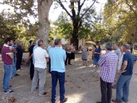 სოფლის მეურნეობის სამინისტრო ფერმერებს ციტრუსის შეწამვლის დროულად დაწყებისკენ მოუწოდებს 