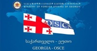  ქეთევან ციხელაშვილი ეუთოში საქართველოს მეგობართა არაფორმალური ჯგუფის წევრი ქვეყნების ელჩებს შეხვდა