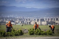 „თბილსერვის ჯგუფი" დასუფთავების  სამუშაოებს განაგრძობს