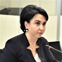 ეკა ბესელია ადამიანის უფლებათა ევროპული სასამართლოს მოსამართლეთა არჩევის კომიტეტის სხდომაში მონაწილეობს