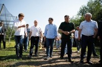 გოგი მეშველიანი: კომპანია „ჯეოფრუტი“ ძალიან მნიშვნელოვანი უცხოური ინვესტიციაა ბოლნისის მუნიციპალიტეტისათვის და ჩვენ ყველანაირად დავუჭერთ მხარს მის შემდგომ განვითარებას