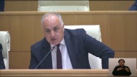 დიმიტრი ხუნდაძე: ბატონ მამუკას მოხსენებაში, მცდელობის მიუხედავად, მაინც ნეგატივები ჭარბობდა