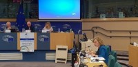 ევრონესტის საპარლამენტო ასამბლეის პოლიტიკურმა კომიტეტმა თამარ ხულორდავას თანაავტორობით რეზოლუციის პროექტი მიიღო