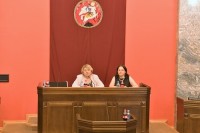 გუგული მაღრაძემ უკრაინის დელეგაციას პარლამენტის გენდერული თანასწორობის საბჭოს საქმიანობა გააცნო