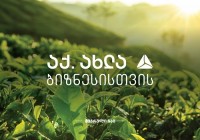 „მეგრული ჩაი“ თიბისი მხარდაჭერით წარმოებას აფართოებს