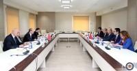 მიხელ ჯანელიძემ თურქ კოლეგასთან მევლუთ ჩავუშოღლუსთან ორმხრივი შეხვედრა გამართა 