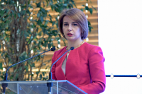 პარლამენტმა ახალი რეგლამენტის მიღებიდან 100 დღეში მიღწეული შედეგები წარადგინა