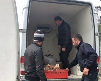 ბაღების მომმარაგებელ კომპანიას საწარმოო პროცესი შეუჩერდა