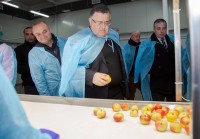 შიდა ქართლში ხილის გადამმუშავებელი ახალი საწარმო ამოქმედდა