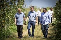 „ერთიანი აგროპროექტის“ ფარგლებში, სოფელ კარალეთში სეტყვისგან დამცავი ბადეები მოეწყო