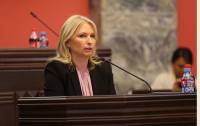 ნათია თურნავა: გაზიფიცირების პროგრამის ფარგლებში აბონენტების რაოდენობა 3 წლის განმავლობაში მთელი საქართველოს მასშტაბით 1 300 000 ოჯახს მიაღწევს