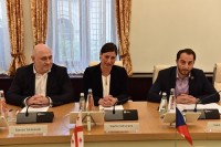 სოფიო ქაცარავა: დემოკრატიული რეფორმები საქართველოს უმთავრეს პრიორიტეტებს წარმოადგენს