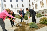 იაპონიის საელჩომ საქართველოს უმაღლეს სასწავლებლებს საჩუქრად საკურას ნერგები გადასცა იაპონიის საელჩომ საქართველოს უმაღლეს სასწავლებლებს საჩუქრად საკურას ნერგები გადასცა