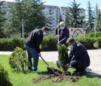 დაბა კაზრეთში მდებარე პარკში 10 სახეობის ხე-მცენარე დაირგო