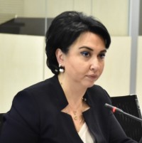 ეკა ბესელიამ სასამართლო სისტემის სტრატეგიის 2017-2018 წლების სამოქმედო გეგმის პროგრესის ანგარიშის პრეზენტაციის მონაწილეებს სიტყვით მიმართა