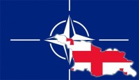 ნატო-ს წევრობა გამოკითხული მოსახლეობის 65%-სთვისაა მისაღები