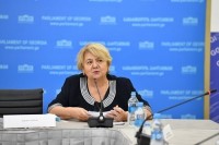 განათლების, მეცნიერებისა და კულტურის კომიტეტში არსებული თემატური მოკვლევის ჯგუფის მორიგი სამუშაო შეხვედრა გაიმართა