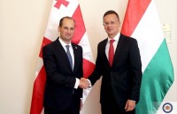 მიხეილ ჯანელიძე უნგრეთის საგარეო საქმეთა და ვაჭრობის მინისტრს შეხვდა
