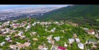 დღეს "წყნეთობა 2018" გაიმართება