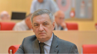 გია ვოლსკი: სამართლებრივი ნაწილის მოწონებასთან ერთად, ამას მნიშვნელოვანი პოლიტიკური წონა და მხარდაჭერა აქვს
