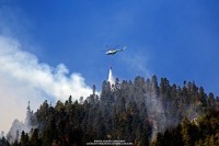 სვანეთში ტყეში გაჩენილი ხანძარი ლოკალიზებულია
