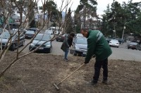 ბოლნისის მუნიციპალიტეტის გამწვანების სამსახური ჯანსაღი გარემოს შექმნის მიზნით სამუშაოებს ახორციელებს