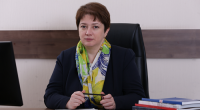 მაია ცქიტიშვილი: ანაკლიის სახელმწიფოს ინვესტიცია 250 მილიონი დოლარია და პროექტის რისკებს სახელმწიფო ინაწილებს