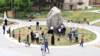 სამების საკათედრო ტაძრის ეზოში იშვიათი ვაზის ჯიშები გაშენდა
