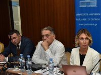 დარგობრივი ეკონომიკისა და ეკონომიკური პოლიტიკის კომიტეტის ინიციატივით გამართულ შეხვედრაზე სახელმწიფო შესყიდვების განახლებულ კანონმდებლობაზე იმსჯელეს