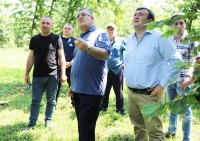 აზიურ ფაროსანასთან ბრძოლის ღონისძიებები წარმატებულად მიმდინარეობს