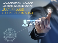 უვიზო რეჟიმის ამოქმედებასთან დაკავშირებით საგარეო უწყებაში ცხელი ხაზი მოქმედებს