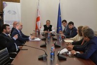 დარგობრივი ეკონომიკის კომიტეტში თავისუფალი ინდუსტრიული ზონების მდგომარეობაზე იმსჯელეს