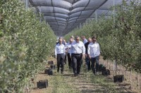 ლევან დავითაშვილი: ჩვენი თანმიმდევრული პოლიტიკის შედეგად, დღეს სხვადასხვა კულტურაში ათეულობით თანამედროვე ბაღი გაშენდა