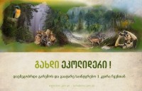 ეკოლიდერთა სკოლა მოსწავლეთა მიღებას აცხადებს
