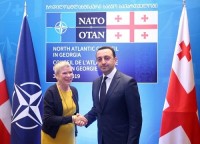 თავდაცვის მინისტრი ნატოს გენერალური მდივნის მოადგილეს შეხვდა 
