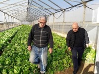 ვახტანგ ყოლბაიამ რუხში მდებარე სასათბურე მეურნეობა დაათვალიერა