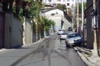 დოლიძის ქუჩაზე ორ მოქალაქეს ხე დაეცა დოლიძის ქუჩაზე ორ მოქალაქეს ხე დაეცა