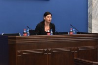 საგარეო ურთიერთობათა კომიტეტმა 2019 წლის სამოქმედო გეგმა დაამტკიცა