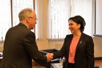 ეკა ბესელია ევროკავშირისა და გაეროს განვითარების პროგრამის საპარლამენტო პროექტის საერთაშორისო ექსპერტს შეხვდა